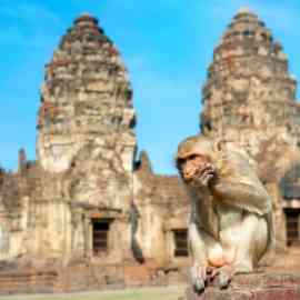 Monkey Temple, Lopburi Monkey Temple, Lopburi